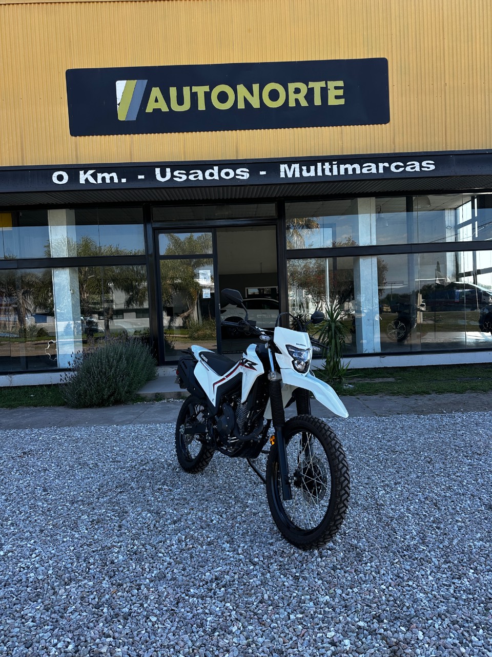 HONDA XR TORNADO 300